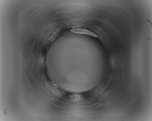 X0000099420276200805231636