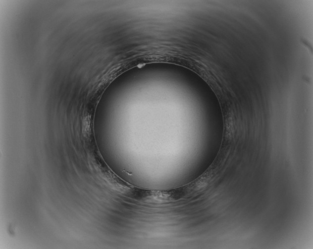 X0000099420278200805231636