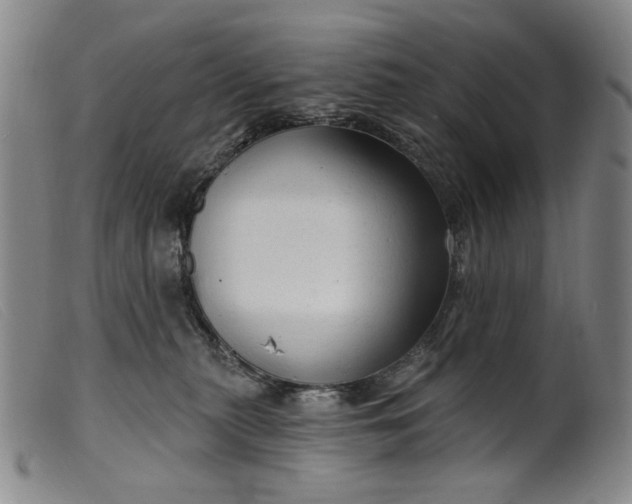 X0000099420279200805231636