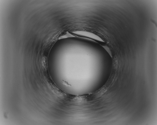 X0000099420280200805231636