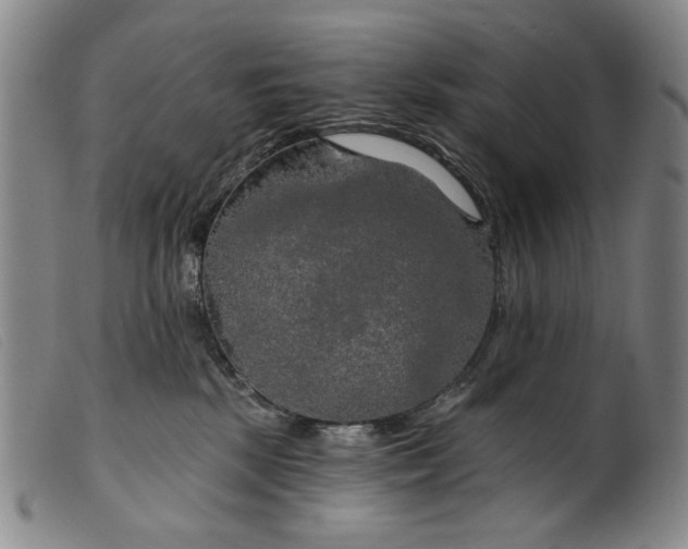 X0000099420281200805231636