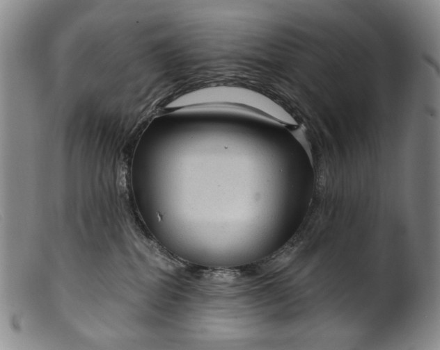 X0000099420282200805231636