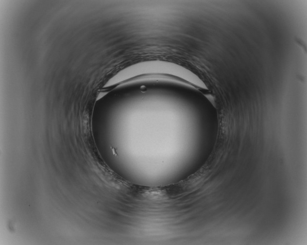 X0000099420283200805231636