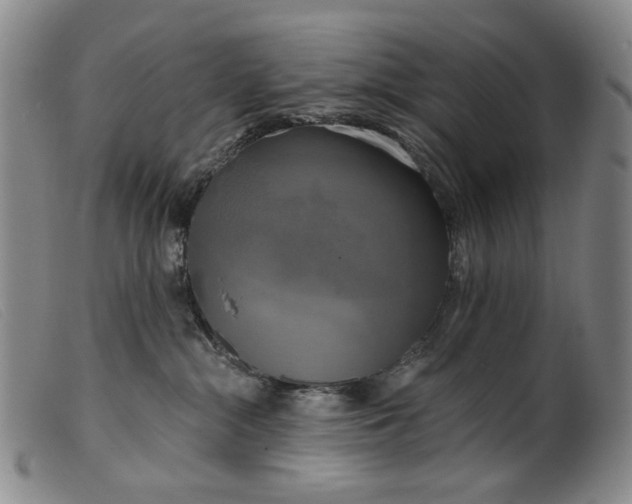 X0000099420284200805231636