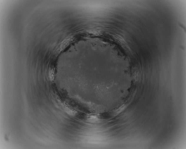 X0000099420285200805231636
