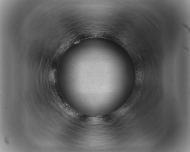X0000099420286200805231636