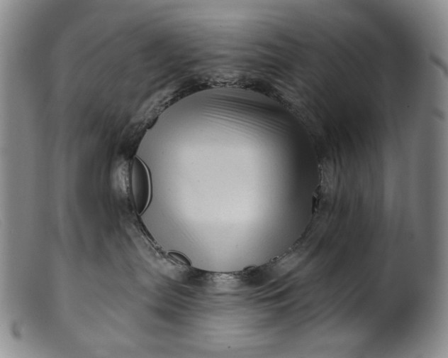 X0000099420287200805231636