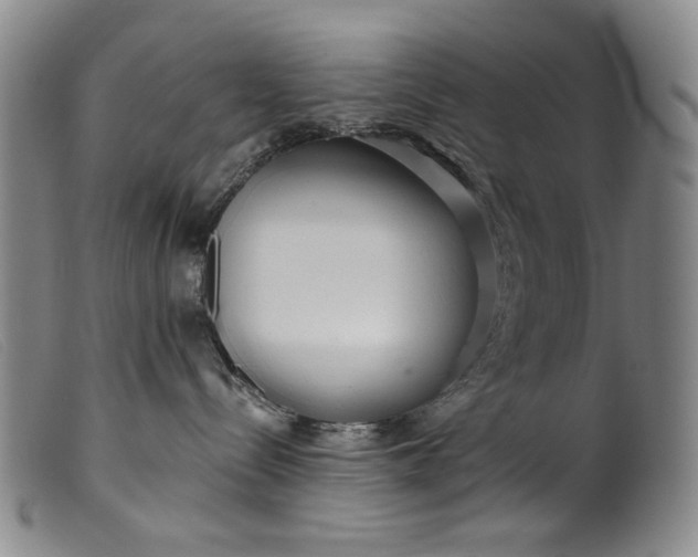 X0000099420288200805231636