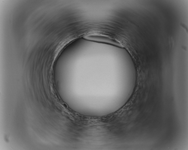 X0000099420289200805231636
