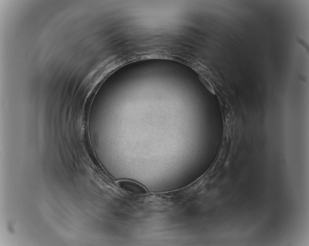X0000099420290200805231636