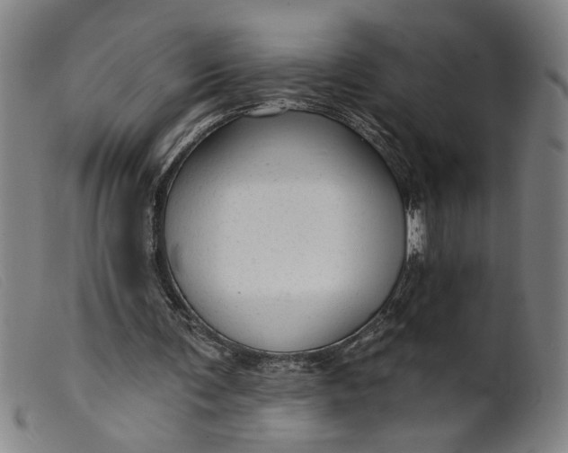 X0000099420291200805231636