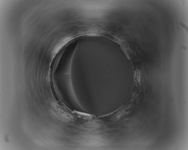 X0000099420292200805231636