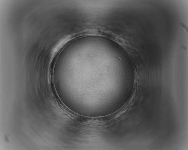 X0000099420294200805231636