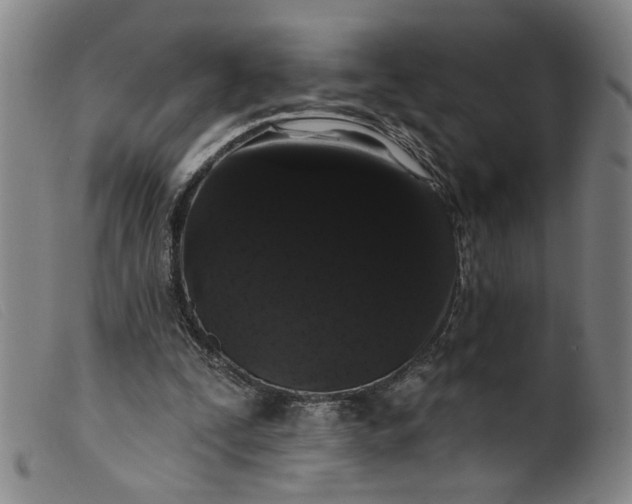 X0000099420295200805231636
