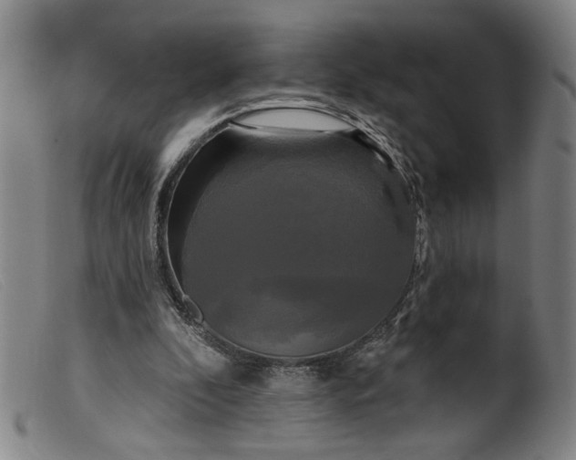 X0000099420296200805231636