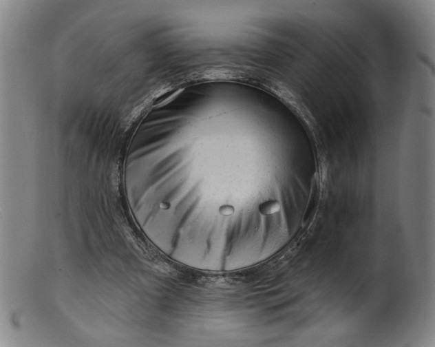 X0000099420297200805231636