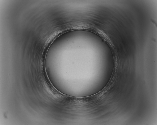 X0000099420298200805231636