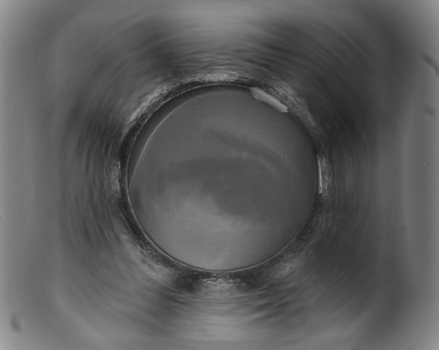 X0000099420300200805231636
