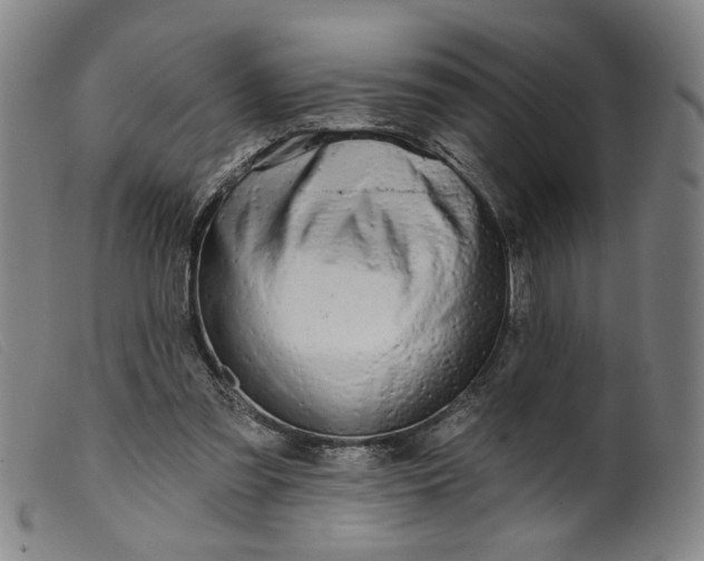 X0000099420301200805231636
