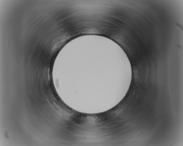 X0000099420302200805231636