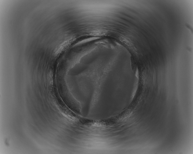 X0000099420303200805231635
