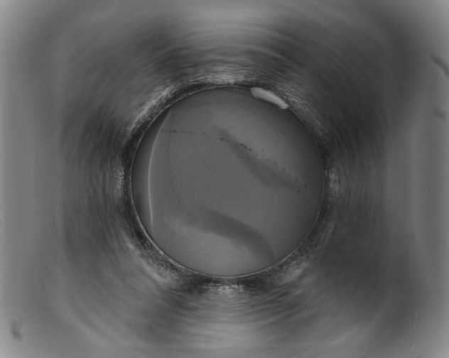 X0000099420304200805231635