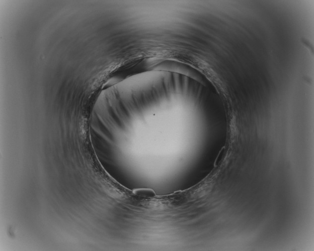 X0000099420305200805231635