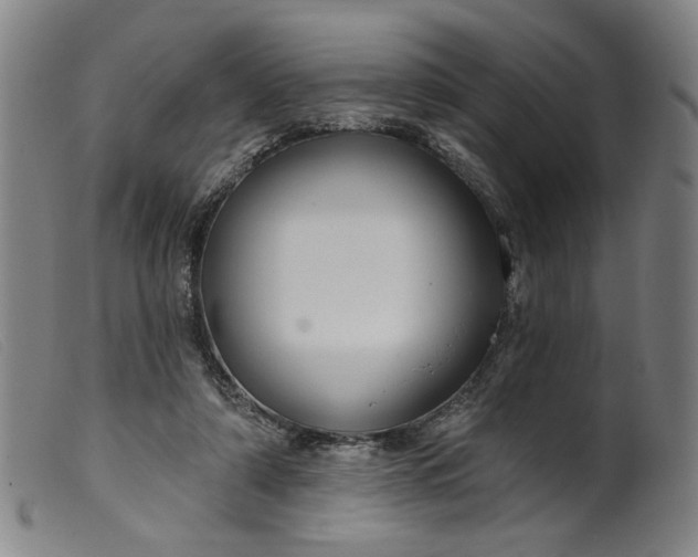 X0000099420306200805231635