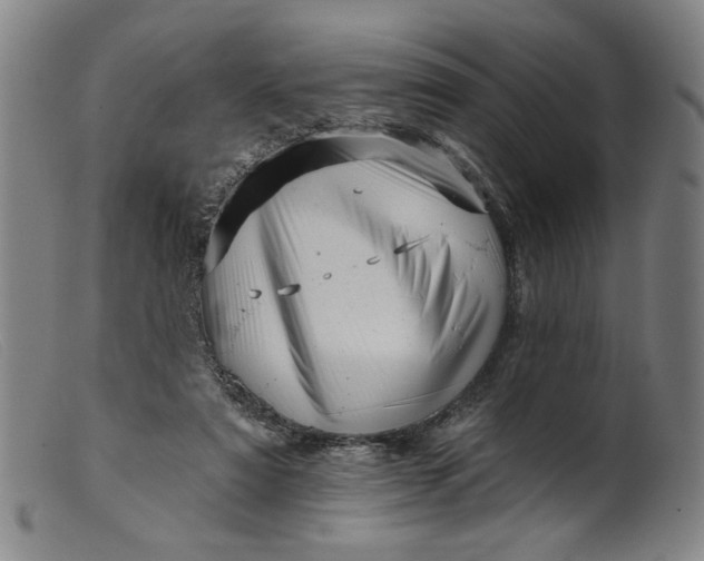 X0000099420307200805231635