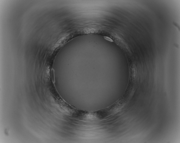 X0000099420308200805231635