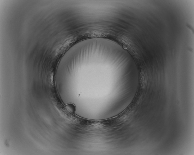 X0000099420310200805231635