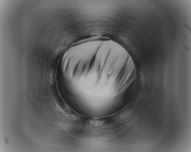 X0000099420311200805231635