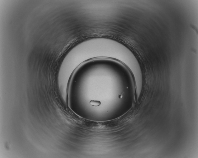 X0000099420312200805231635
