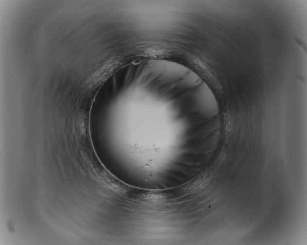 X0000099420313200805231635