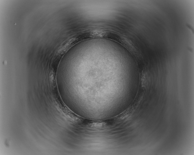 X0000099420314200805231635