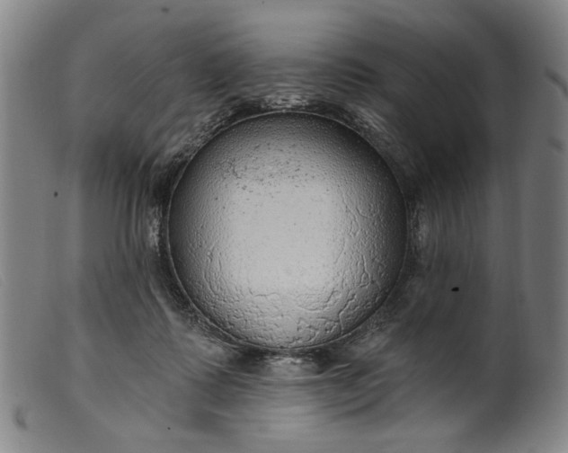 X0000099420315200805231635
