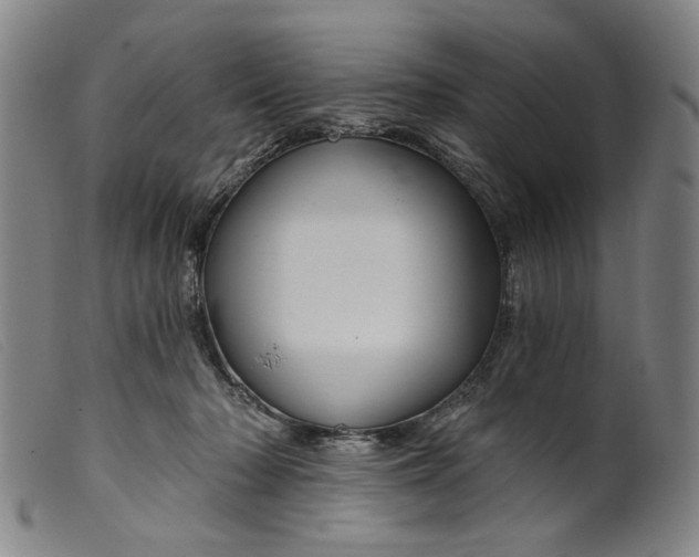 X0000099420318200805231635