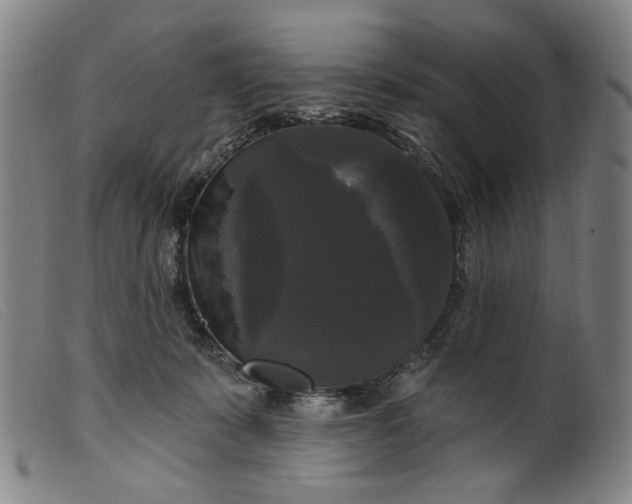 X0000099420319200805231635