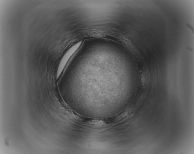 X0000099420322200805231635