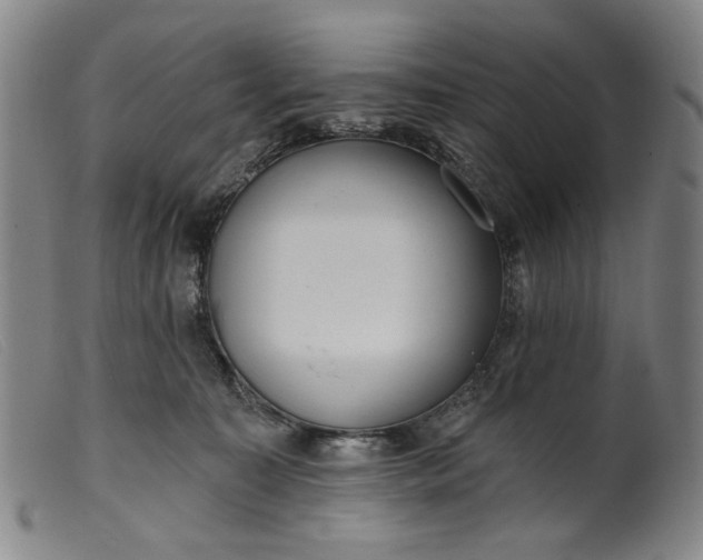 X0000099420323200805231635
