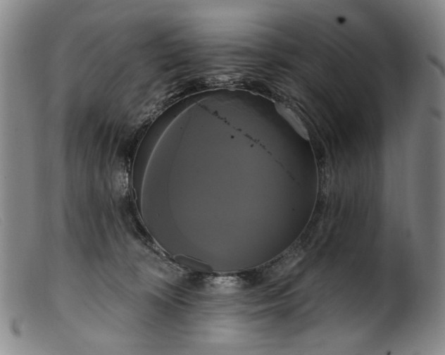 X0000099420324200805231635