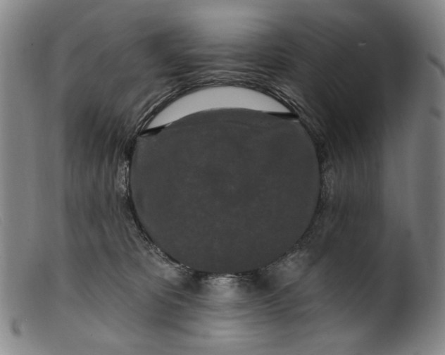 X0000099420325200805231635