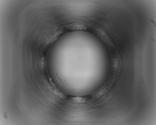 X0000099420326200805231635