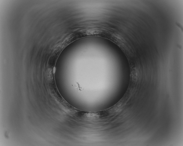 X0000099420327200805231635