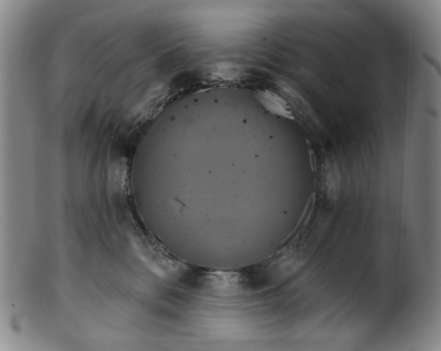 X0000099420328200805231635