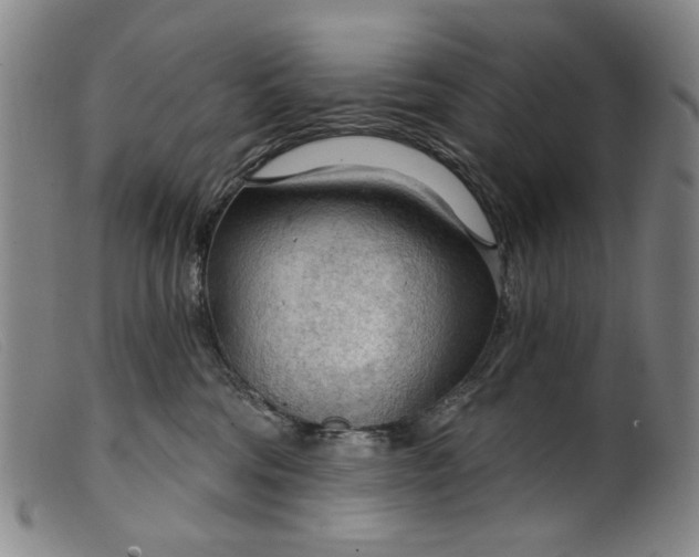 X0000099420330200805231635