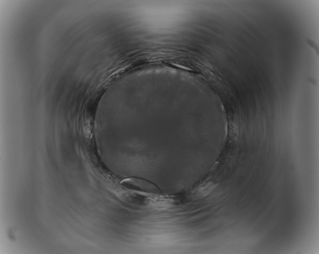 X0000099420331200805231635