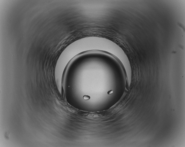 X0000099420332200805231635