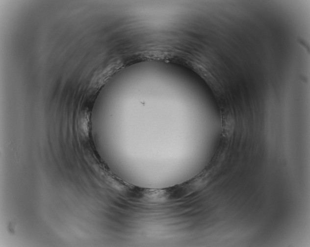 X0000099420334200805231635