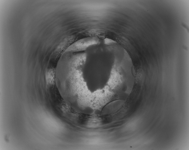 X0000099420335200805231635